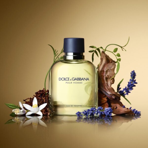 Dolce & Gabbana Pour Homme-EDT